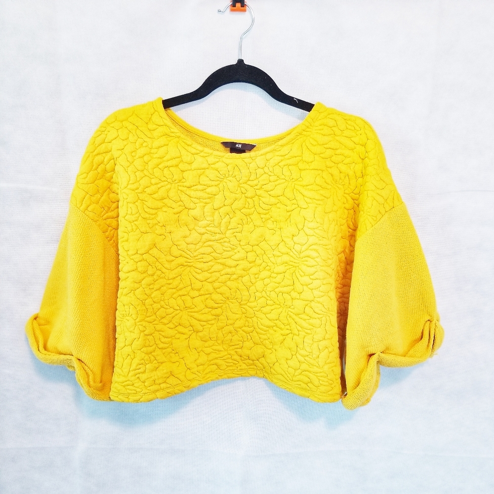 Sold H&M Crop